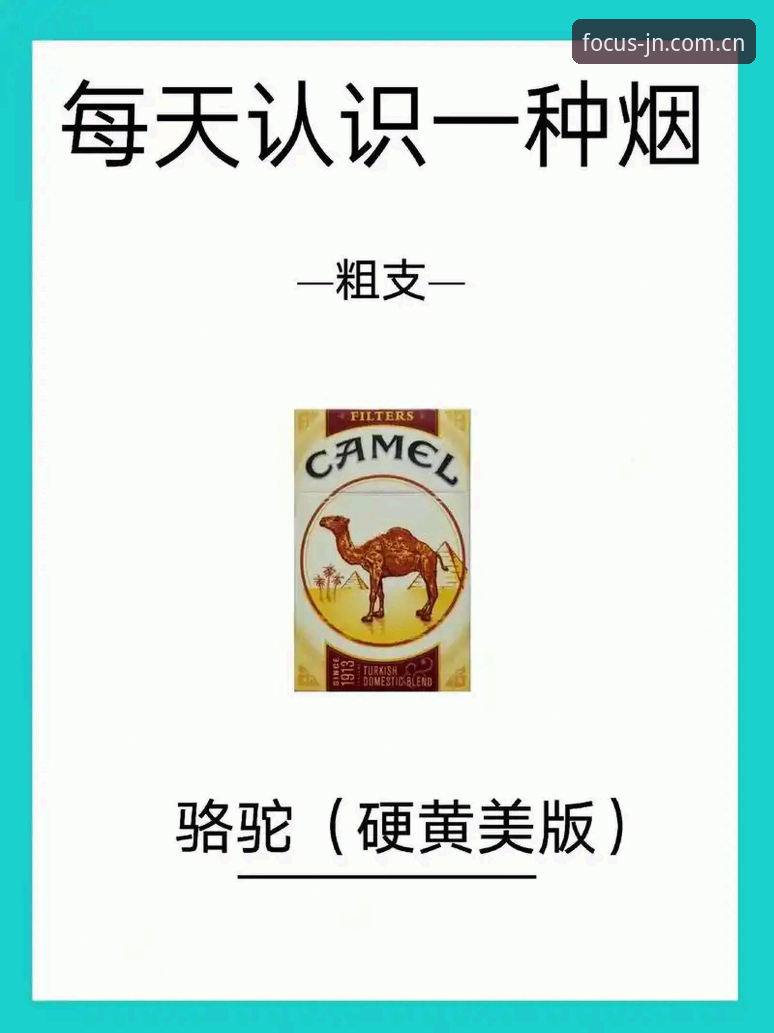 赛事数据下载卡死的3种自救法，第2种连张浩都说管用